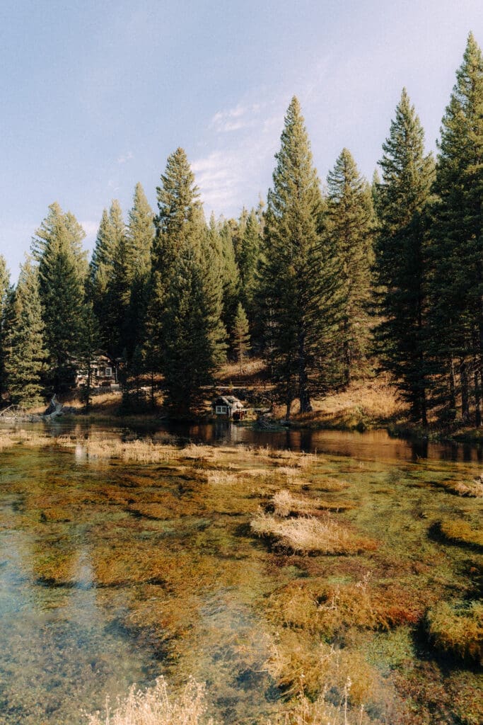 Johnny Sack Cabin in Island Park Idaho
